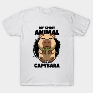 Don't Worry be Capy Funny Capybara Face Zoo Rodent Capybaras T-Shirt